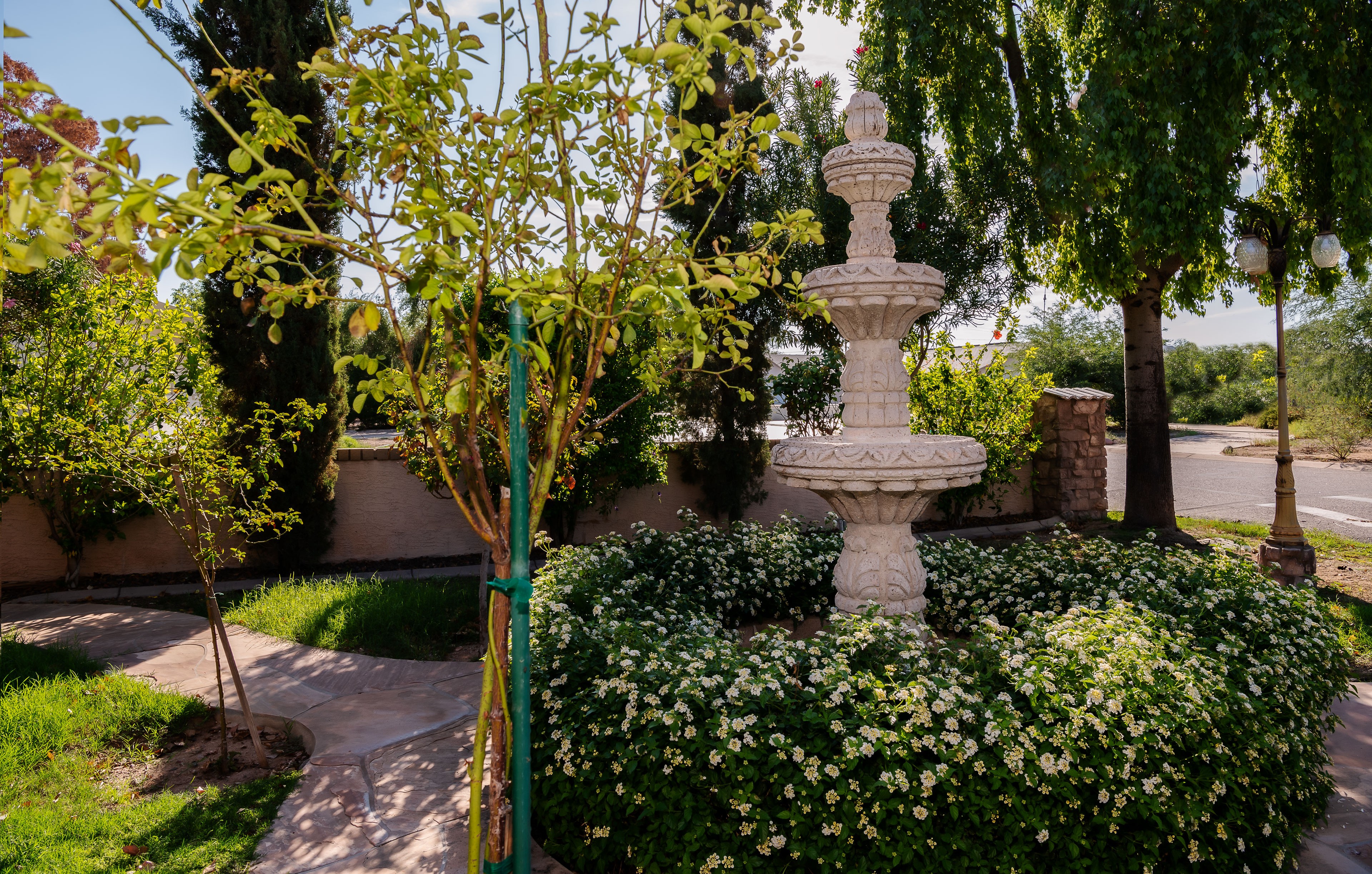 Stone fountain and landscaped courtyard