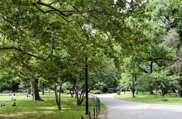 McCarren Park